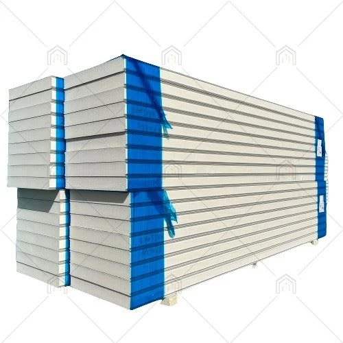 Cold storage panel (59)
